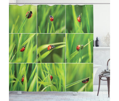 Ladybug over Fresh Grass Shower Curtain