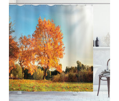 Maple Tree in Autumn Shower Curtain