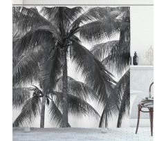 Coconut Palms Tropical Shower Curtain