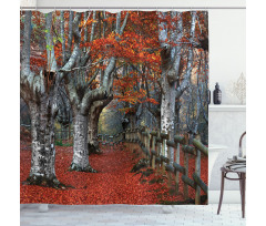 Beech Forest Autumn Shower Curtain