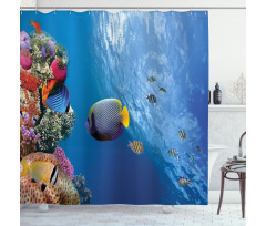 Underwater Fish Sea Shower Curtain