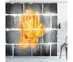 Warm Rose Brick Wall Shower Curtain