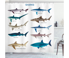 Cartoon Shark Types Wild Shower Curtain