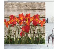 Blooming Poppy Flowers Shower Curtain