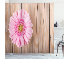Pink Gerber on Wooden Shower Curtain