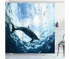 Swimming Dolphin Shower Curtain