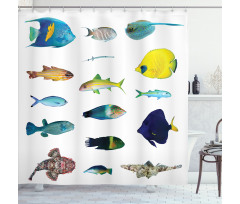 Marine Life Creatures Shower Curtain