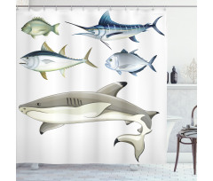 Collage of Aquatic Animal Shower Curtain