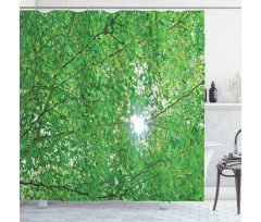 Sun with Tree Branches Shower Curtain