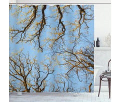 Vibrant Sky with Trees Shower Curtain