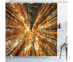 Canadian Maple Idyllic Shower Curtain