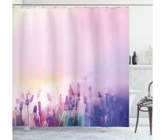 Lavender Violet Flowers Shower Curtain