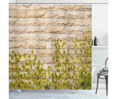 Brick Wall with Leaf Shower Curtain