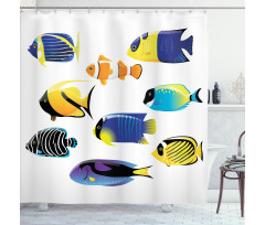 Cod Bonito Palette Shower Curtain