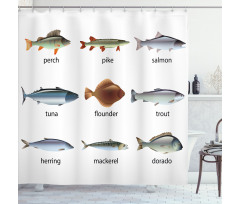 Aquatic Animal Composition Shower Curtain