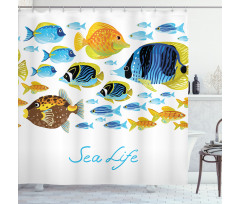 Cartoon Sea Life Theme Shower Curtain