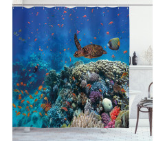 Tropical Turtle Water Shower Curtain