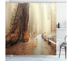 Foggy Forest Woods Shower Curtain