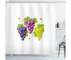 Ivy Burgundy Region Shower Curtain