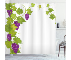 Italian Latin Shower Curtain