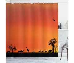 Safari Sunset with Gull Shower Curtain