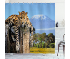 Leopard on a Tree Shower Curtain