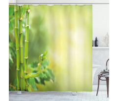 Bamboos Green Trees Shower Curtain