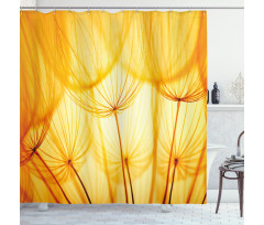 Dandelion Summer Garden Shower Curtain