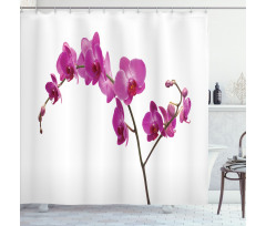 Wild Orchids Petals Shower Curtain