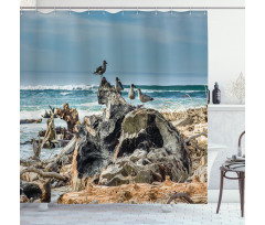 Driftwood Shore Seagull Shower Curtain
