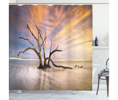 Dead Tree Sun Driftwood Shower Curtain