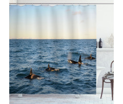 Whales in SeOcean Shower Curtain