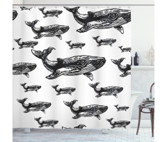 Hand Drawn Big Whales Shower Curtain