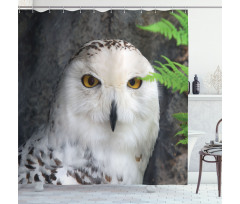 Magician Pet White Owl Shower Curtain