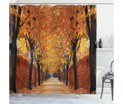 Pathway in the Woods Shower Curtain