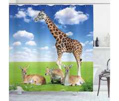Zoo Animals Shower Curtain