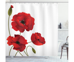 Flowers Petals and Buds Shower Curtain