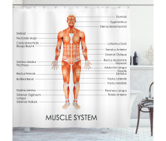 Biology Muscle System Shower Curtain