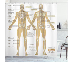 Human Skeleton System Shower Curtain