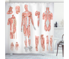 Biology Human Medical Shower Curtain