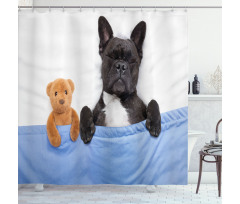 French Bulldog with Bear Shower Curtain