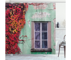 Fall Ivy on Old House Shower Curtain