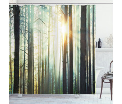 Fairy Foggy Forest Woods Shower Curtain