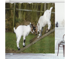 Farm Life with Goats Shower Curtain