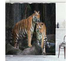 Tiger Couple in Jungle Shower Curtain