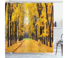 Autumn Trees Leaves Shower Curtain