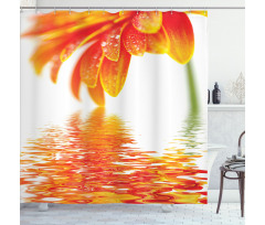 Sun Flower Reflection Shower Curtain