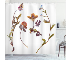 Lilacs Daisises Tulips Shower Curtain