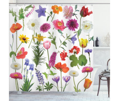 Colored Roses Tulips Shower Curtain