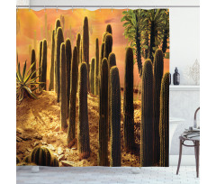Sunset in Wild Desert Shower Curtain